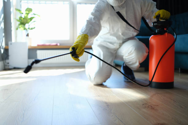 Reliable Blood Cleanup contractor in Funston, GA by Trauma Clean Pros